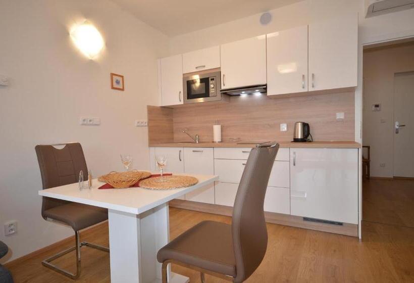 带1个卧室的公寓, Apartmány Viva Třeboň
