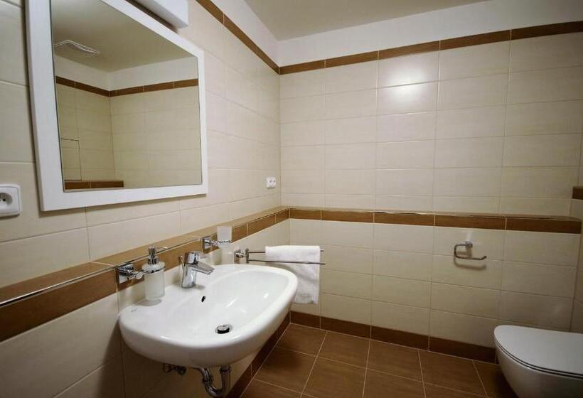带1个卧室的高级公寓, Apartmány Viva Třeboň