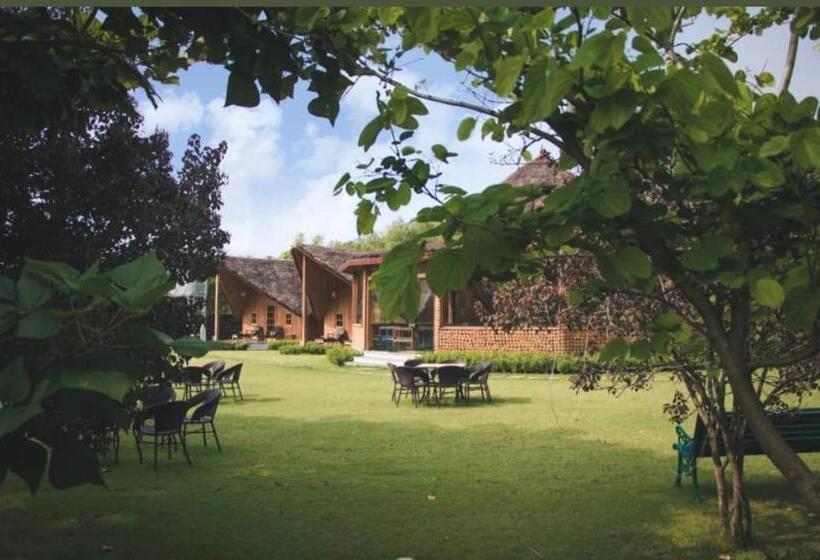 اتاق استاندارد با چشم‌انداز کوهستان, Glenville Forest Resort & Spa