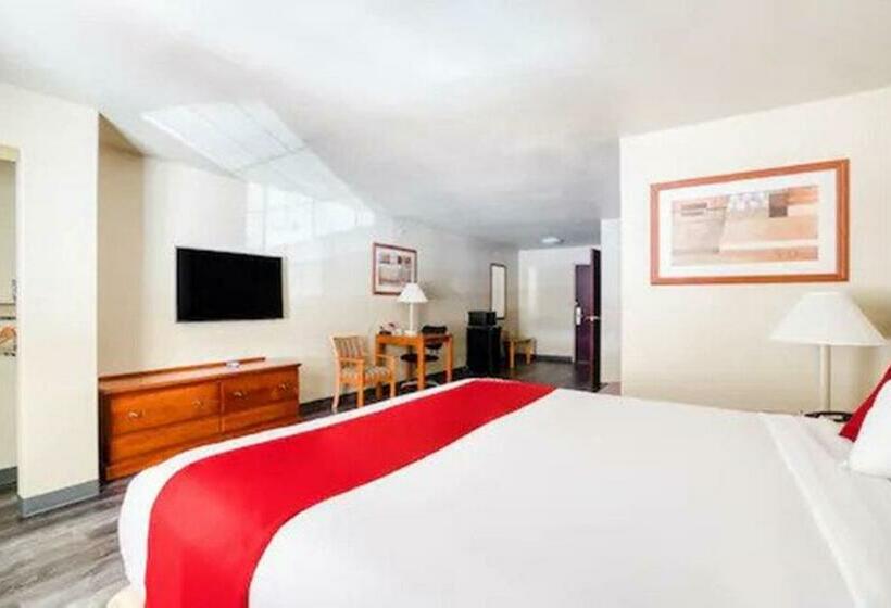 اتاق استاندارد با تخت بزرگ, Nature Inn & Suites