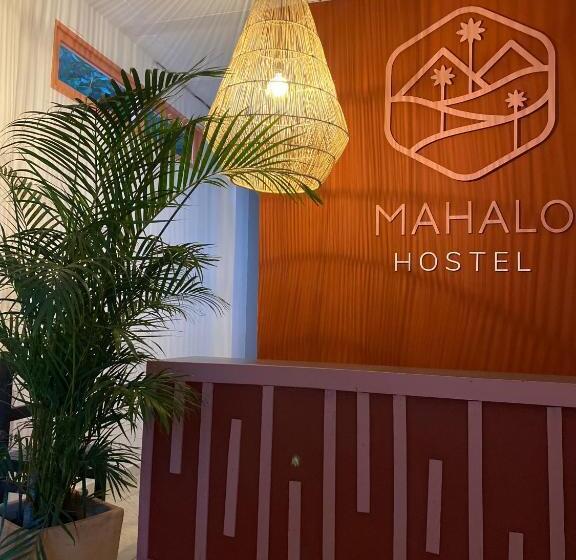 اتاق استاندارد چهار تخته, Mahalo Hostel