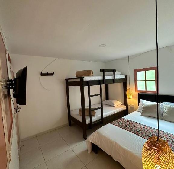 اتاق استاندارد چهار تخته, Mahalo Hostel
