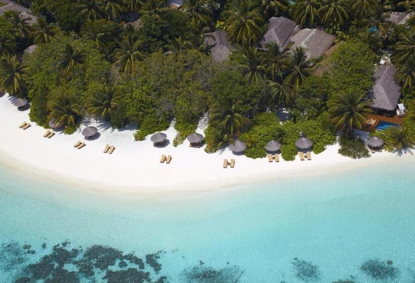 فيلا غرفة نوم واحدة مع مسبح, Baros Maldives