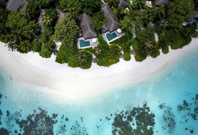 جناح مزود بحمام سباحة, Baros Maldives