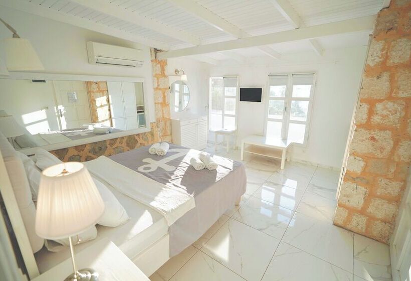 اتاق استاندارد, Club çapa