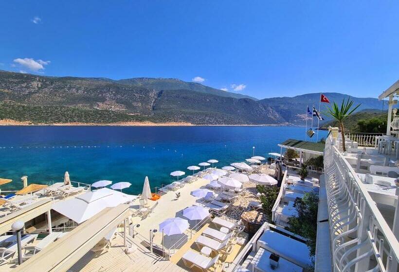 اتاق استاندارد سه نفره, Club çapa