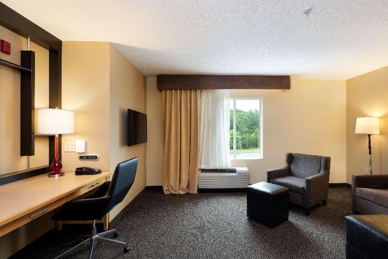 سوئیت با تخت بزرگ, Doubletree By Hilton Hotel Savannah Airport