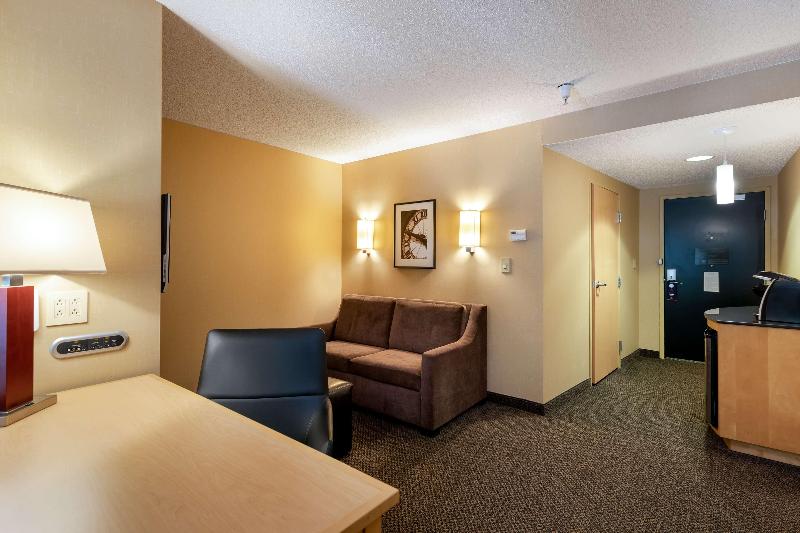 استودیو استاندارد با تخت کینگ, Doubletree By Hilton Hotel Savannah Airport