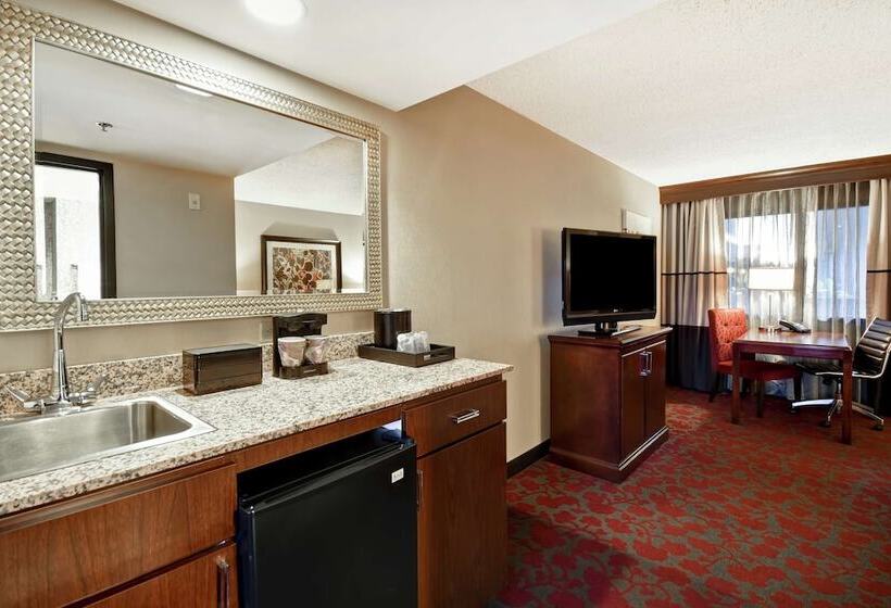 سوئیت 2 خوابه, Embassy Suites By Hilton Dulles Airport