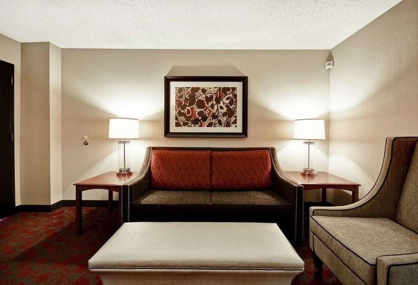 سوئیت 2 خوابه, Embassy Suites By Hilton Dulles Airport