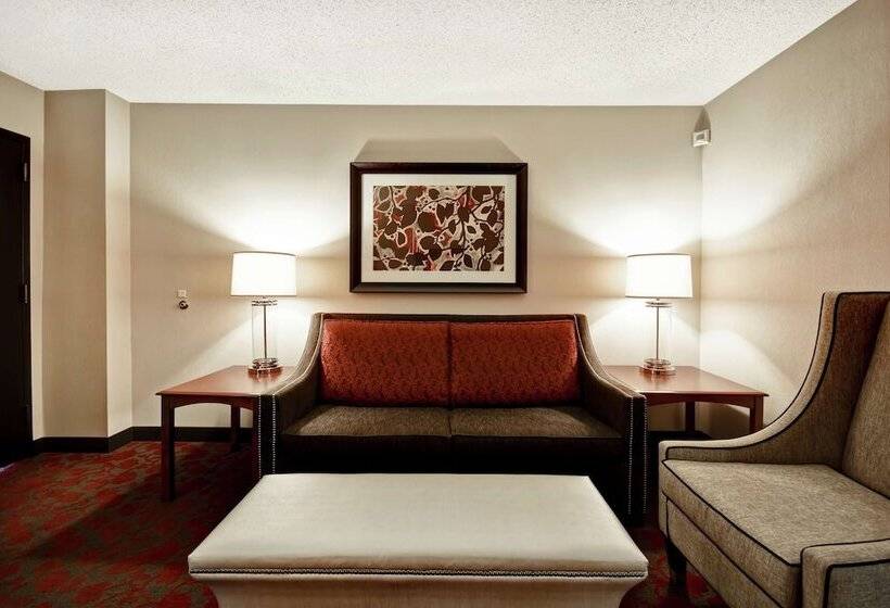 2 Bedroom Suite, Embassy Suites By Hilton Dulles Airport