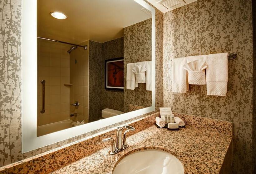 سوئیت پریمیوم 2 خوابه, Embassy Suites By Hilton Dulles Airport