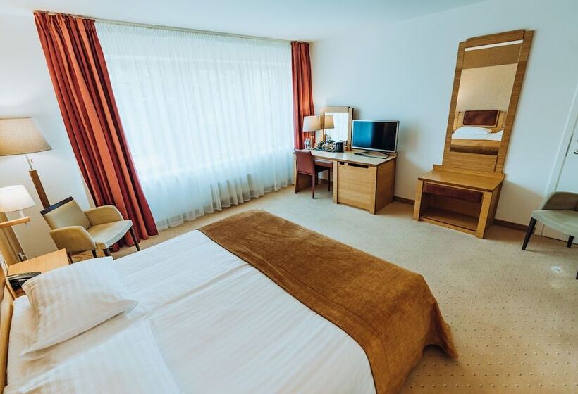 اتاق استاندارد با دسترسی به اسپا, Gabija Hotel Spa & Conferences