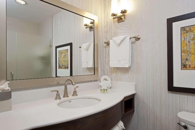 سوییت لوکس, Hilton Garden Inn Indianapolis Downtown