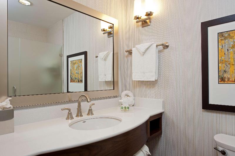 اتاق استاندارد با تخت بزرگ, Hilton Garden Inn Indianapolis Downtown