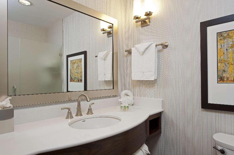 اتاق استاندارد با تخت بزرگ, Hilton Garden Inn Indianapolis Downtown