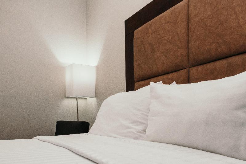 اتاق استاندارد با تخت بزرگ برای معلولان, Holiday Inn Durango, An Ihg