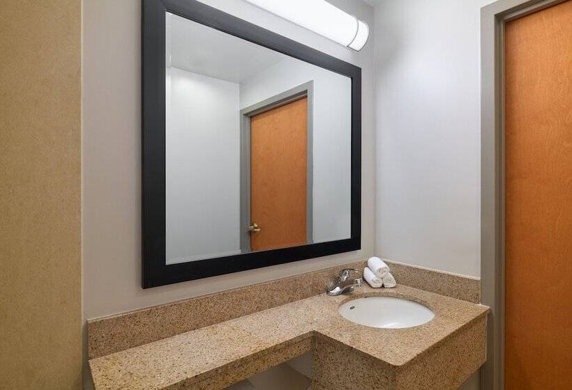 اتاق استاندارد با 2 تخت دوبل, Holiday Inn Express New York City Chelsea, An Ihg