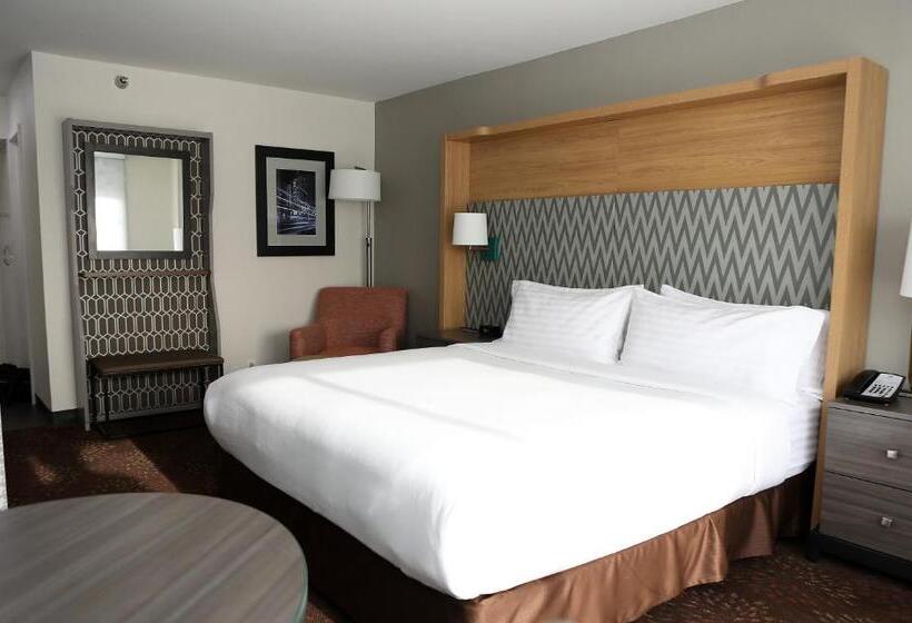 اتاق استاندارد با تخت بزرگ, Holiday Inn O Hare Area, An Ihg