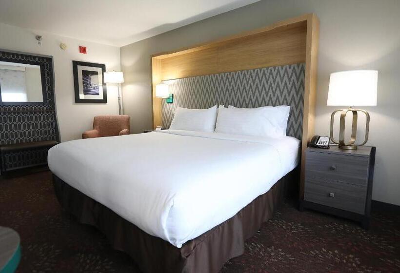 اتاق استاندارد با تخت بزرگ, Holiday Inn O Hare Area, An Ihg