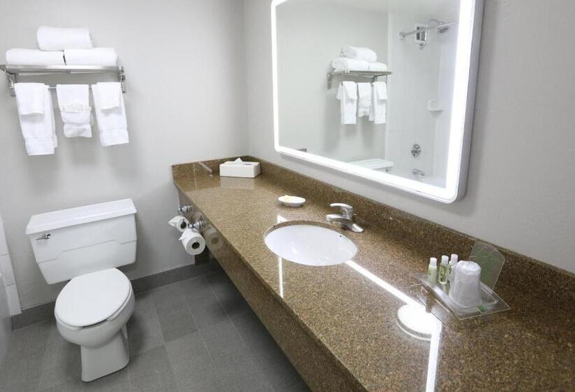 اتاق استاندارد با تخت بزرگ, Holiday Inn O Hare Area, An Ihg