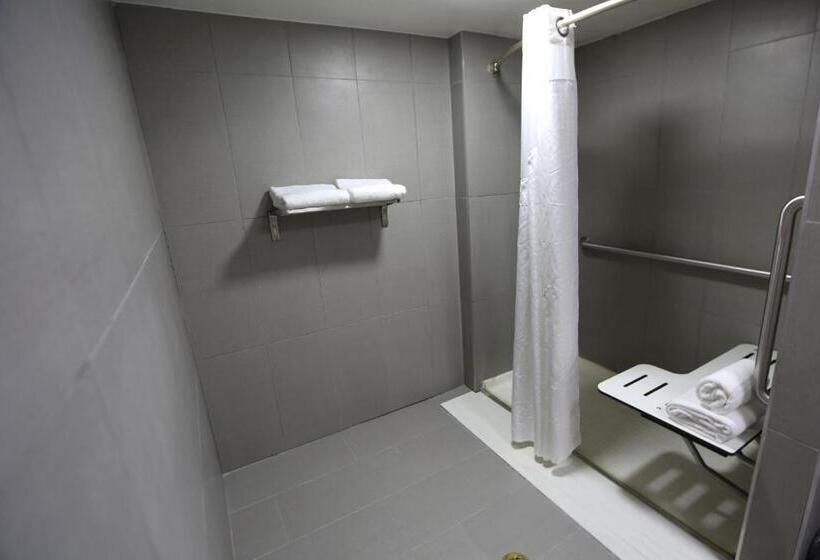 اتاق استاندارد با تخت بزرگ برای معلولان, Holiday Inn O Hare Area, An Ihg