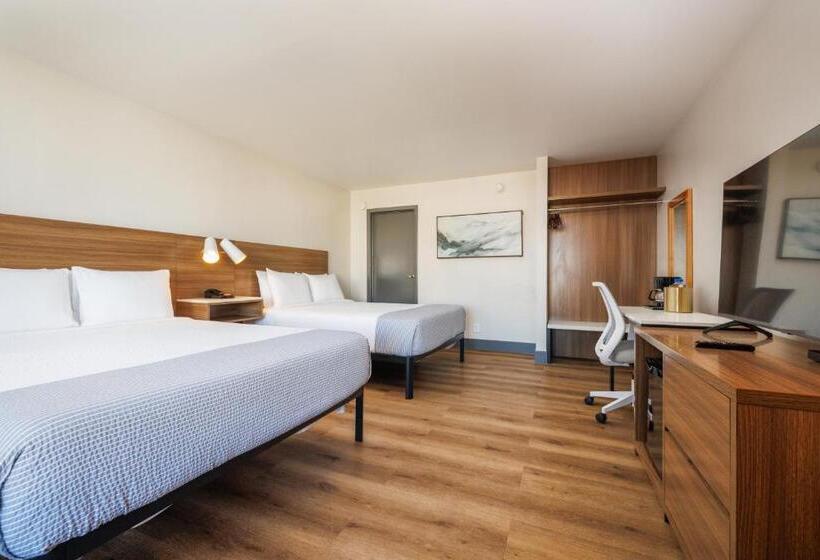 اتاق لوکس, La Luna Inn, Ascend Hotel Collection