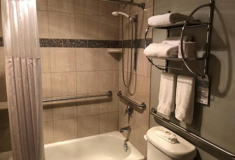 اتاق استاندارد با تخت بزرگ, Shilo Inn Portland Rose Garden   Convention Center