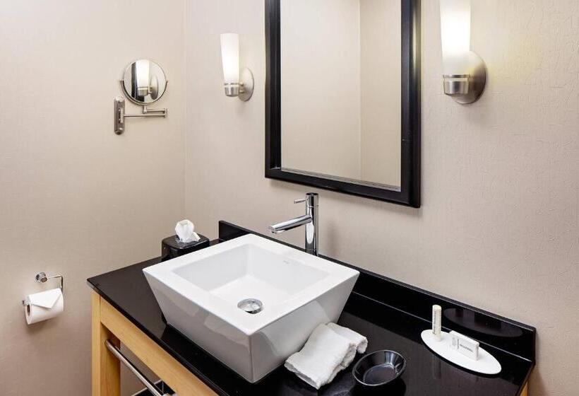 Suite Lit King, Springhill Suites Green Bay