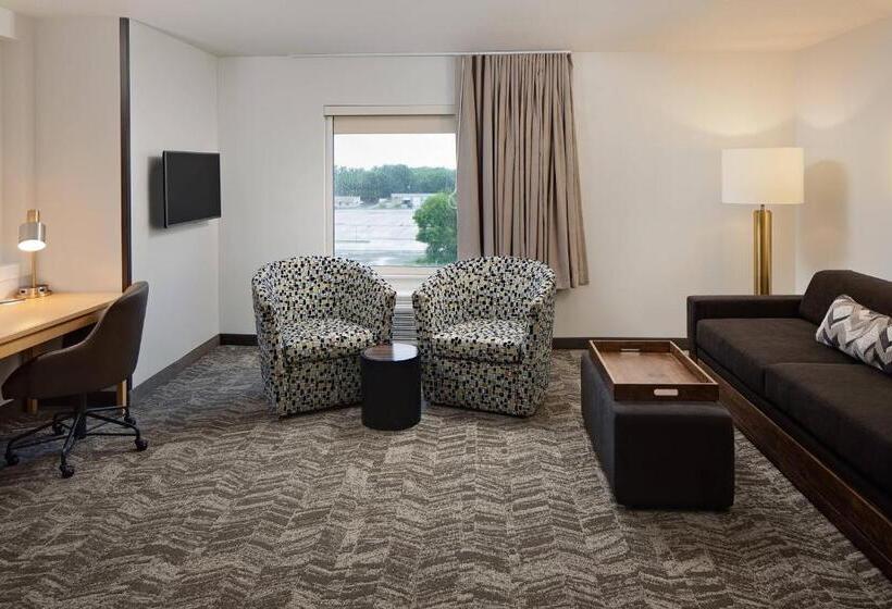 キングサイズベッドのスイートルーム, Springhill Suites Green Bay