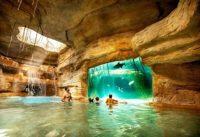 Standard Room with Views, The Coral At Atlantis