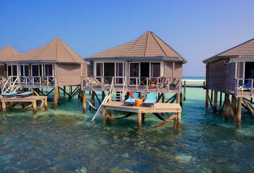 ویلای 1 خوابه, Kuredu Island Resort & Spa