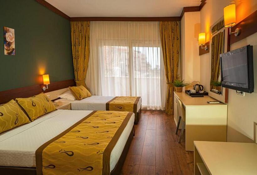 اتاق استاندارد, Dg Hotels Rose Resort