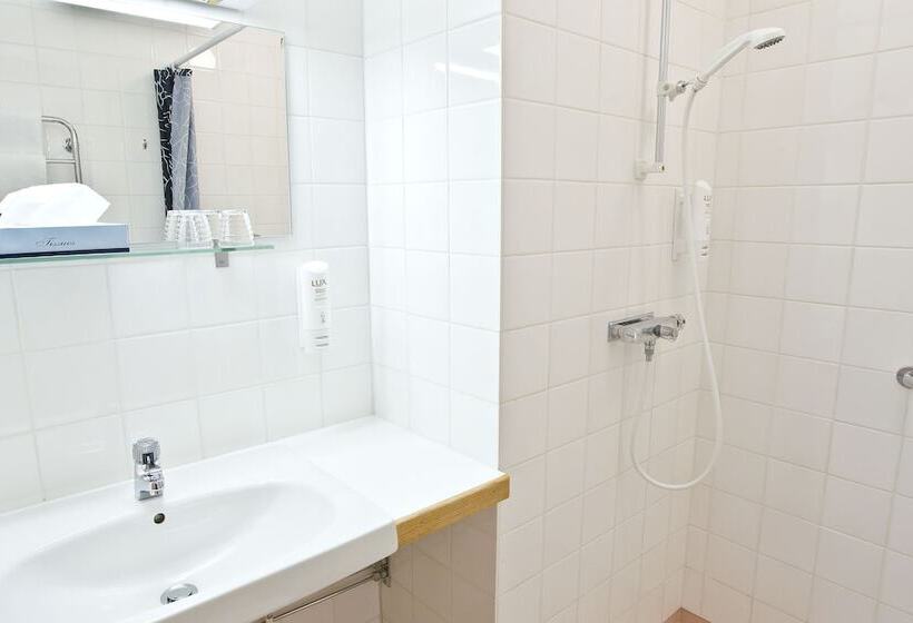 اتاق استاندارد, Best Western Hotell Lerdalshoejden