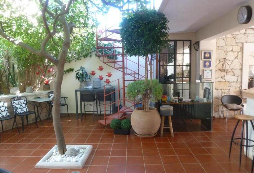 침실 1개 수피리어 아파트, Calergi Residence Monthly Offers