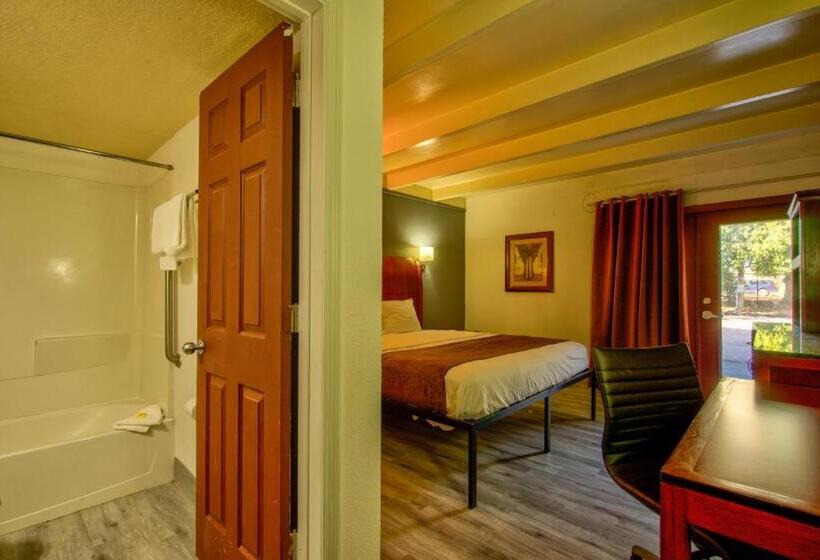 اتاق استاندارد با تخت بزرگ, Clearwater