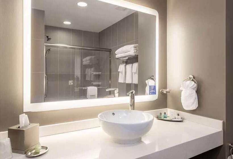 سوئیت با تخت بزرگ, Conrad Indianapolis