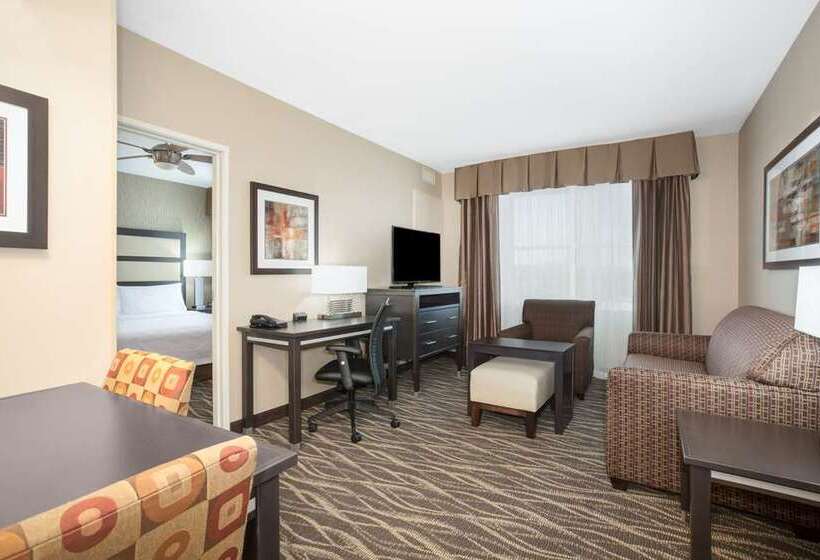 اتاق استاندارد با تخت بزرگ, Embassy Suites By Hilton Dallas Dfw Airport South