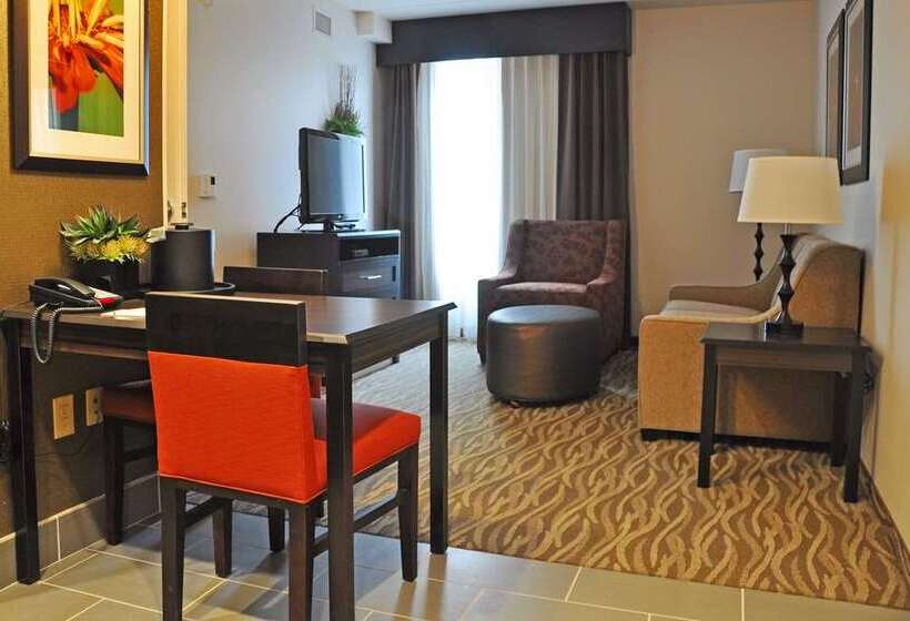 اتاق استاندارد با تخت بزرگ, Embassy Suites By Hilton Dallas Dfw Airport South