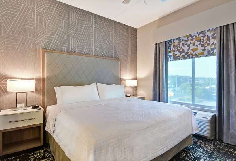 اتاق استاندارد, Embassy Suites By Hilton Dallas Dfw Airport South