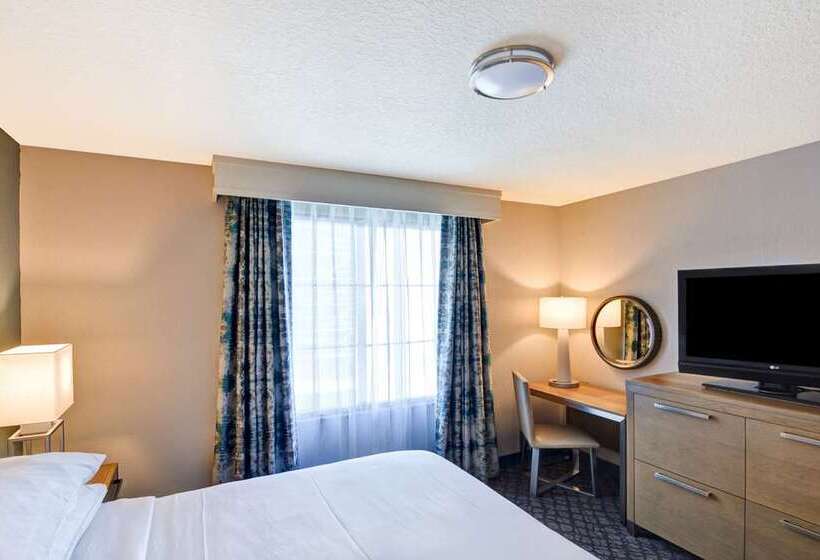 اتاق استاندارد با تخت بزرگ, Embassy Suites By Hilton Dallas Dfw Airport South