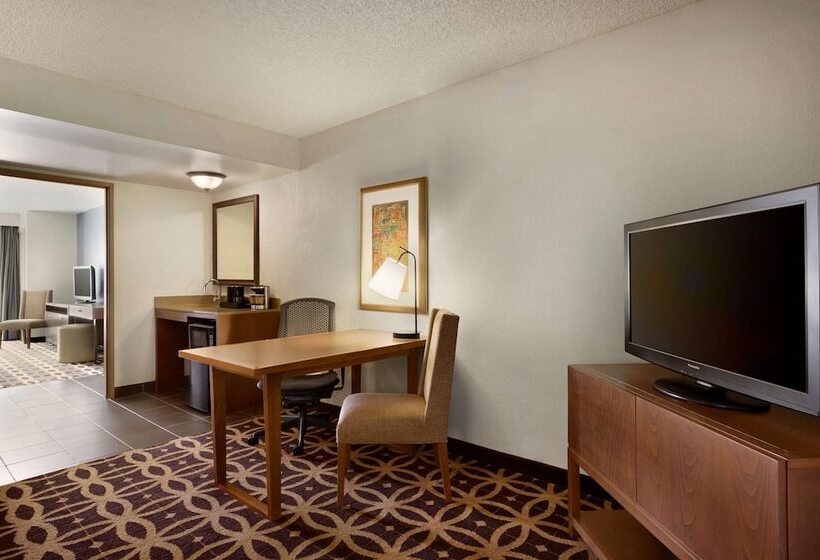 Suite, Embassy Suites Dallas Dfw International Airport South