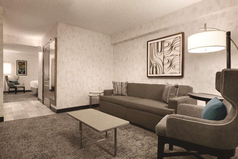 سوئیت با تخت بزرگ, Hilton Garden Inn Washington Dc Downtown