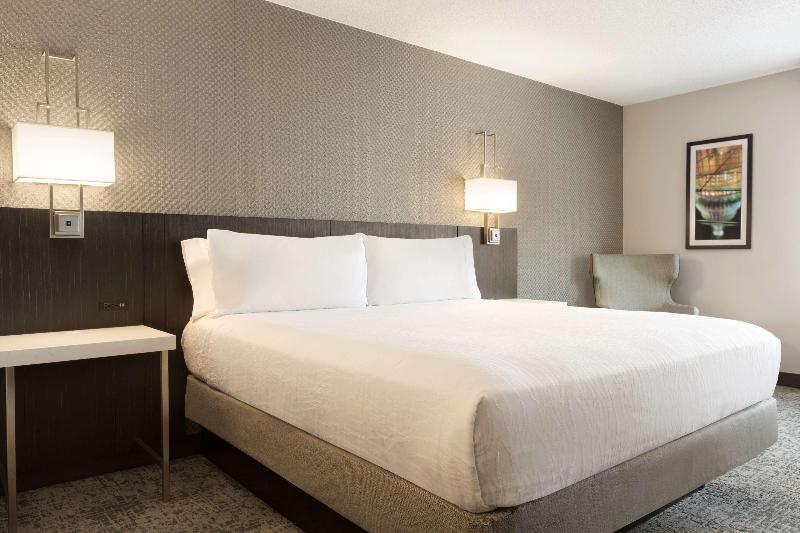 اتاق استاندارد با تخت بزرگ, Hilton Garden Inn Washington Dc Downtown