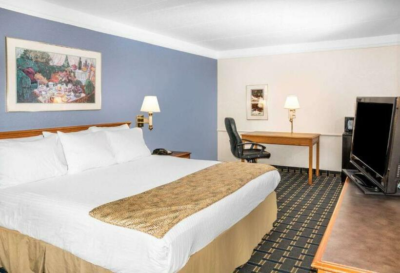 Standaardkamer met Kingsize Bed Aangepast voor Gehandicapten, Days Inn By Wyndham Houston