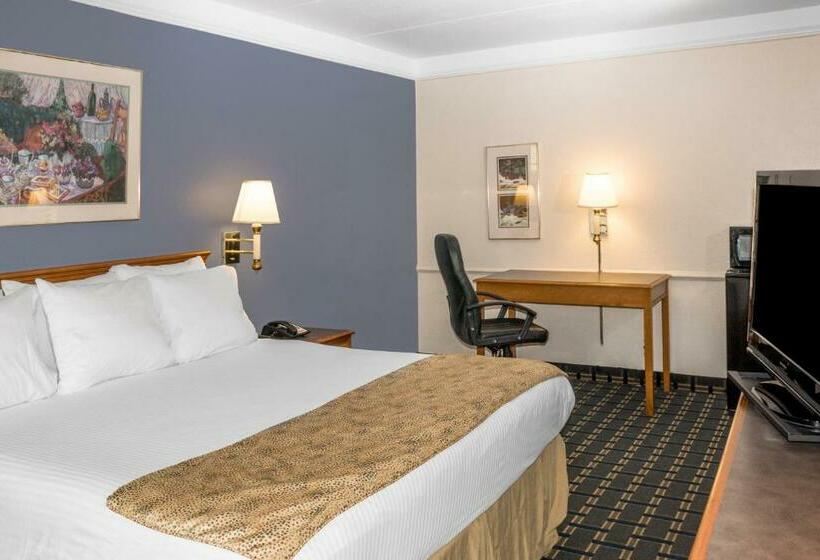 Standaardkamer met Kingsize Bed Aangepast voor Gehandicapten, Days Inn By Wyndham Houston