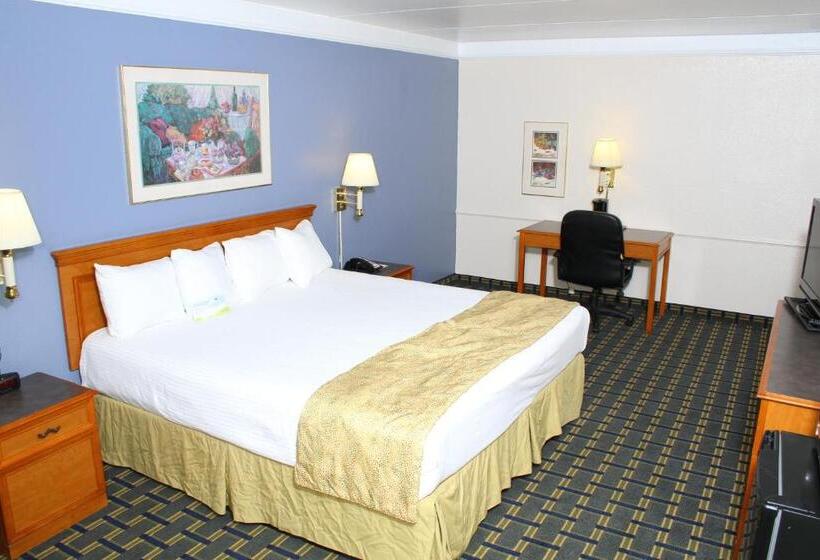 Standaardkamer met Kingsize Bed Aangepast voor Gehandicapten, Days Inn By Wyndham Houston