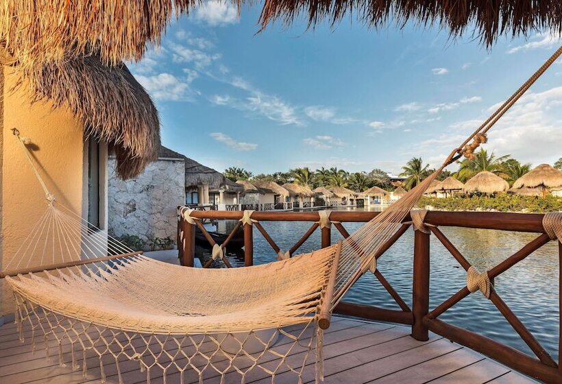 بانگلوی استاندارد, Grand Palladium White Sand Resort & Spa   All Inclusive