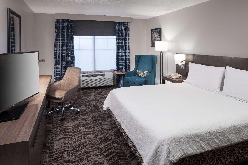 اتاق استاندارد با تخت بزرگ, Hilton Garden Inn Hilton Head