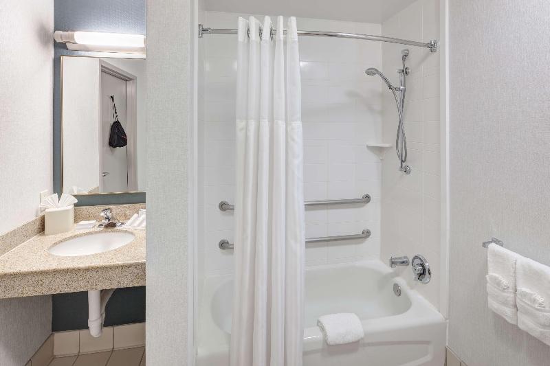اتاق استاندارد با تخت بزرگ, Hilton Garden Inn Hilton Head